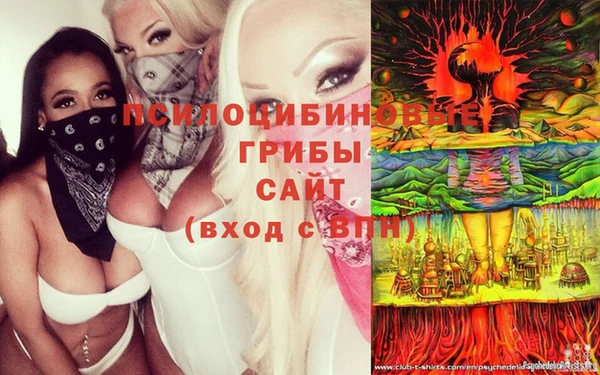 а пвп мука Коряжма