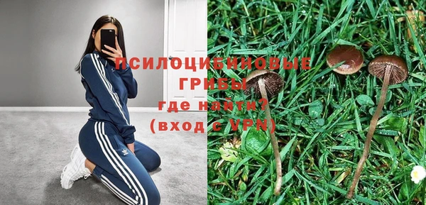 эйфоретик Краснотурьинск