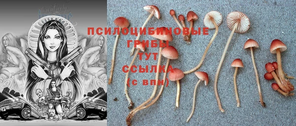 эйфоретик Краснотурьинск