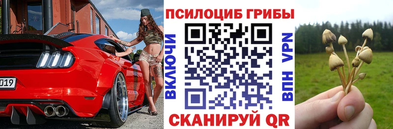 Купить  Медногорск  Псилоцибиновые грибы мухоморы 